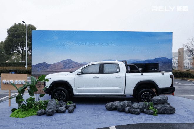 ���ܿ�Ҳ���� ���𴿵�Ƥ������R08 EV��12.78����