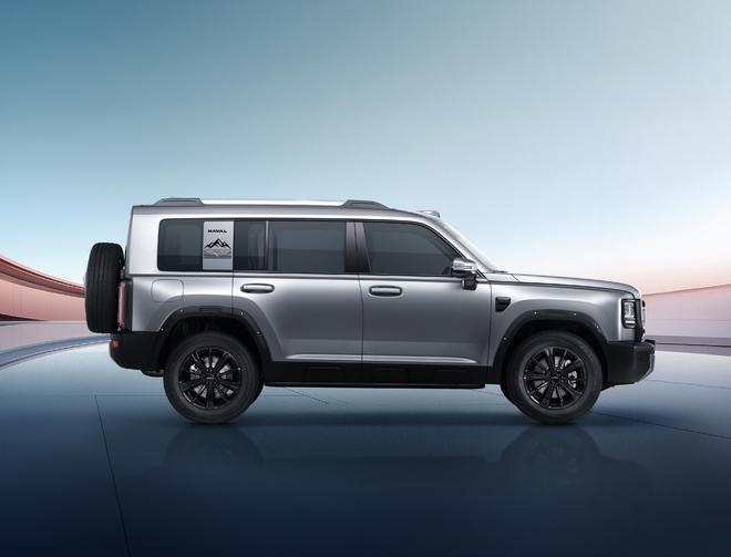 ��������__��������