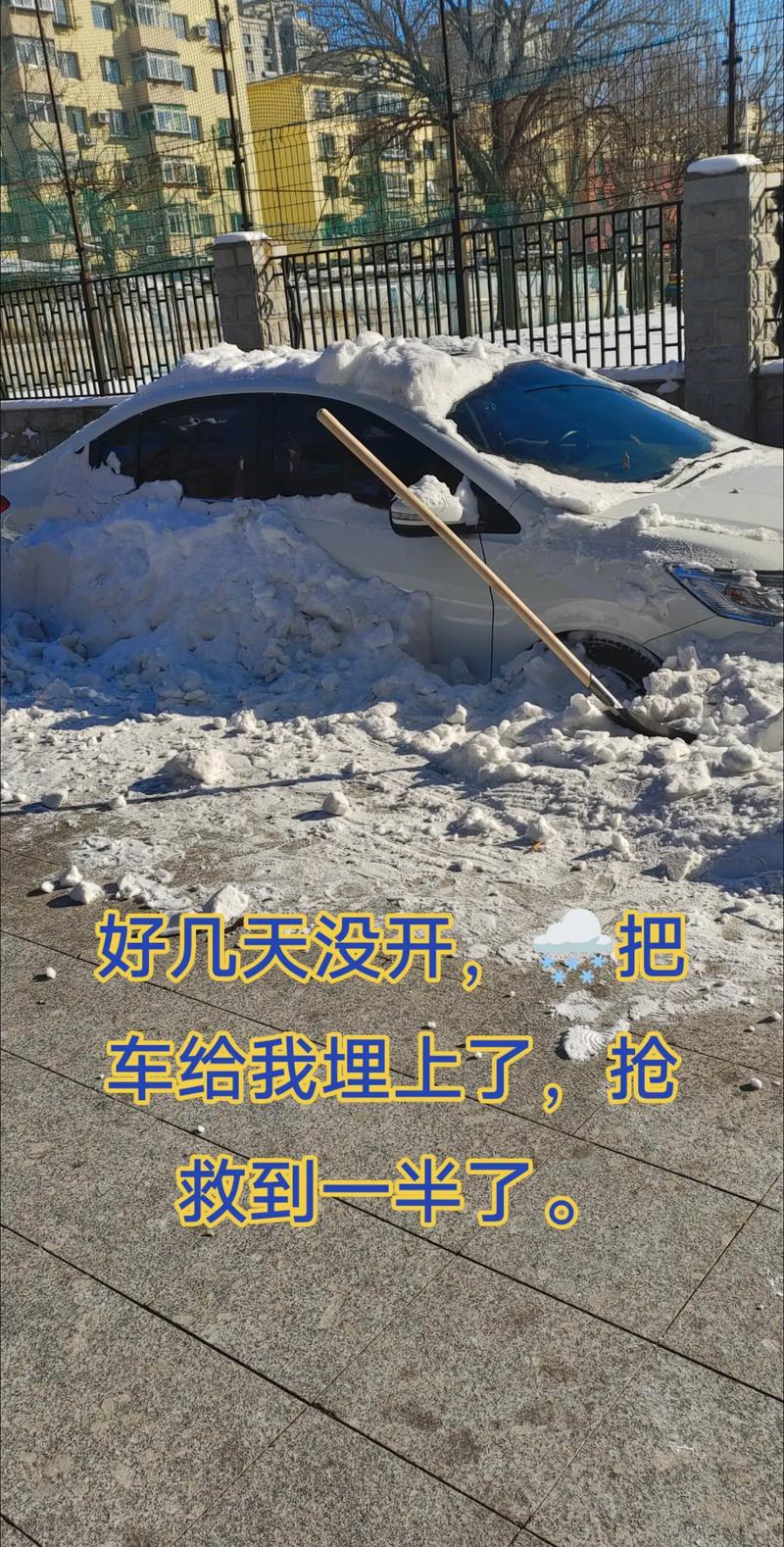 ����һ��·�Զ���С���⡰���⡱���������ź������񱻰����������ò˵����ӳ����������̻��ƽ�������ѩ������������ԭ��__����һ��·�Զ���С���⡰���⡱���������ź������񱻰����������ò˵����ӳ����������̻��ƽ�������ѩ������������ԭ��