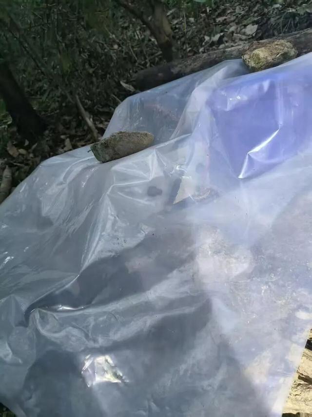 54��������ɽ����ʱ�����Ƿ������豸�����������ɳ�������ץ��һ��������__54��������ɽ����ʱ�����Ƿ������豸�����������ɳ�������ץ��һ��������