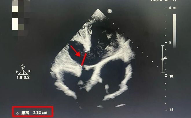 _���к���ɱ��_������Ϊ̫��