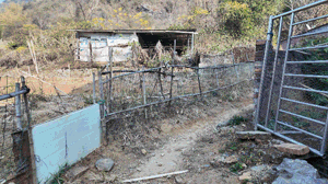 ���к���ɱ��_������Ϊ̫��_