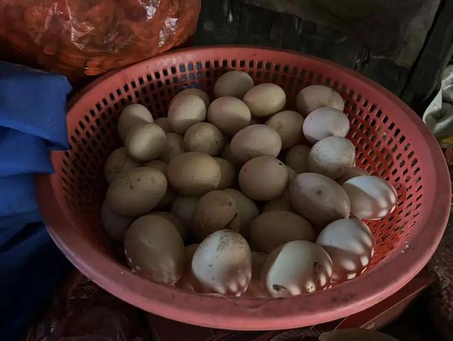 ���к���ɱ��_������Ϊ̫��_