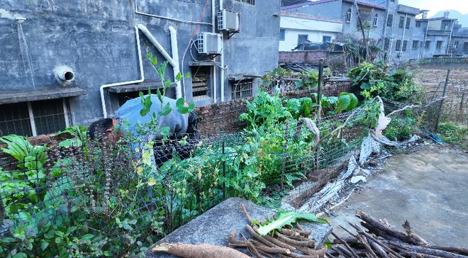 ������Ϊ̫��_���к���ɱ��_