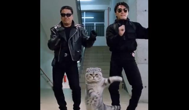 _���ǳ۾����˵�΢��_���ƾ���Ȧ�·�ͨƽ̨