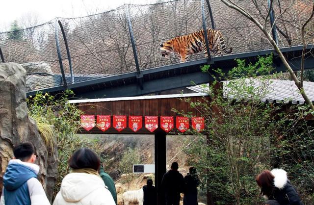 _���ﱨ������ĺڰ�ͼ_��������ǿ��ʮ����