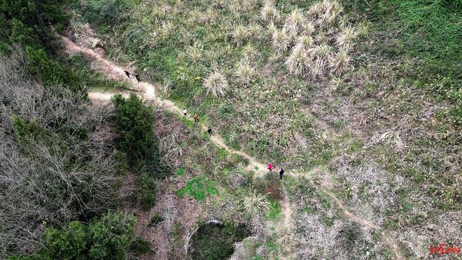 68�����������ʧ8�죺���³�����������ɽ���ҵ�������ҶΪʳ�漣����_68�����������ʧ8�죺���³�����������ɽ���ҵ�������ҶΪʳ�漣����_