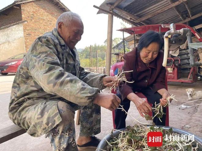 ����˵������__����ʽ����