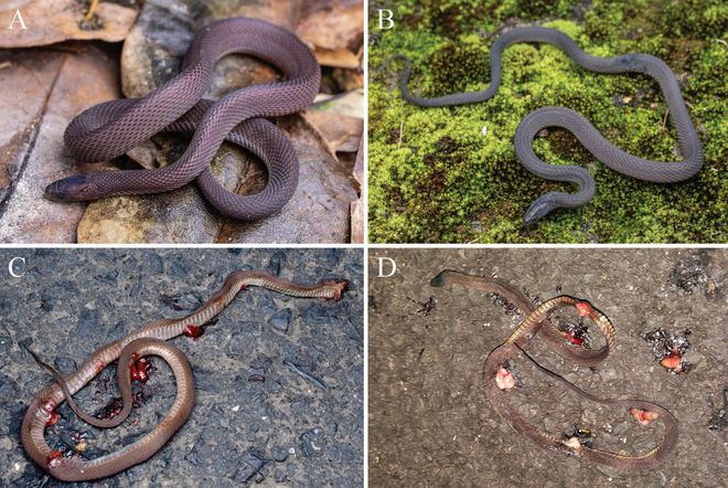 �㽭17���������������֡������ߡ������аٹ����ˢɽ��40��ҹ��������һƪSCI_�㽭17���������������֡������ߡ������аٹ����ˢɽ��40��ҹ��������һƪSCI_