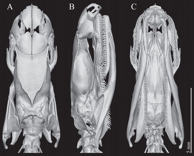 _�㽭17���������������֡������ߡ������аٹ����ˢɽ��40��ҹ��������һƪSCI_�㽭17���������������֡������ߡ������аٹ����ˢɽ��40��ҹ��������һƪSCI