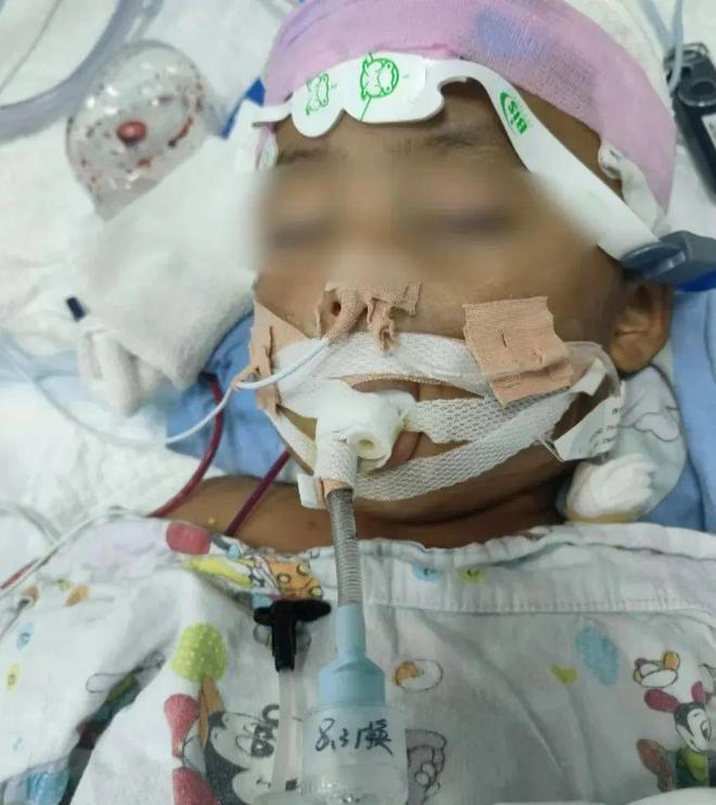 _һ��ͥ��������_�����һ��ͥ��������